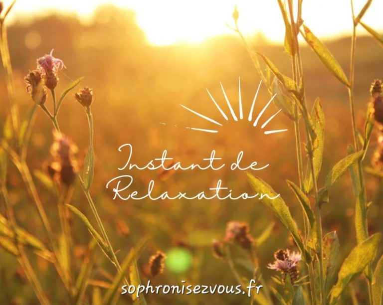 Screenshot_20231104-214309_Canva
